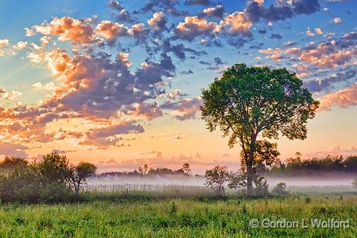 Lone Tree At Sunrise_12273.jpg - Photographed near Jasper, Ontario, Canada.